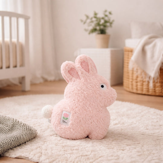 Aria Fuzzy Rabbit Plush Toy — Baby Toy