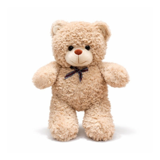 Riccardo Teddy Plush Toy — Kids Toy