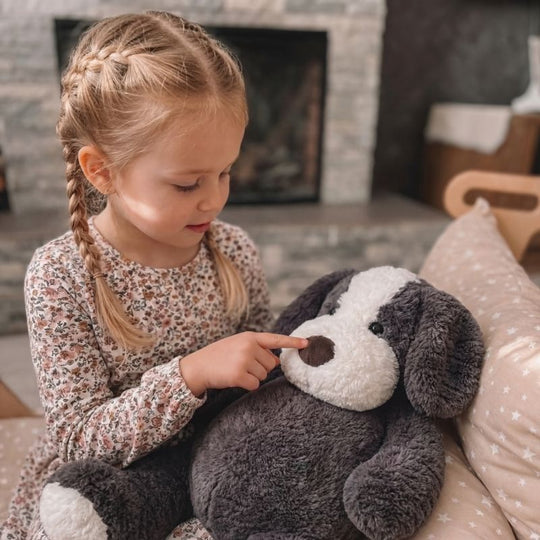 Elodie — Border Collie (50cm)