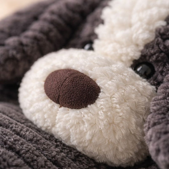 Elodie — Border Collie (50cm)