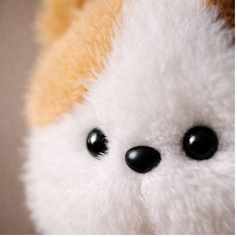 Elsa Bee Kitty Plush Toy, Stuffed Animal — Baby Soft Toy