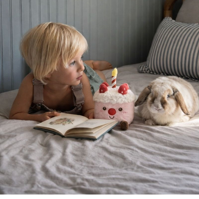 Eva Strawberry Cake Plush Toy — Baby Soft Toy