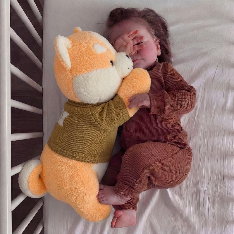 Leona  Husky Plush Toy — Baby Soft Toy