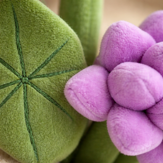 Ingrid — Cozy Plant