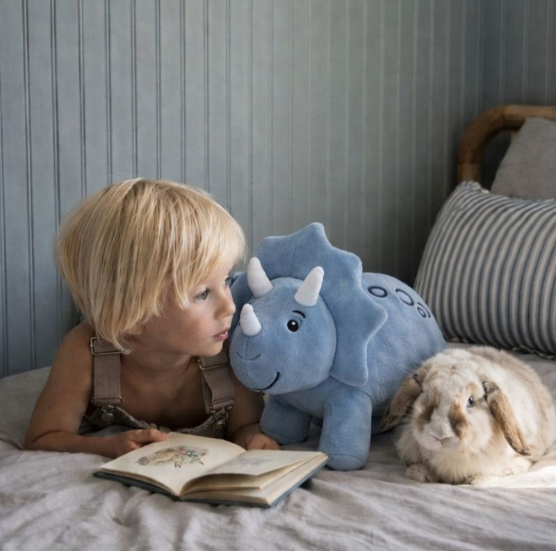 Lotte Triceratops Dinosaur Plush Toy — Baby Soft Toy