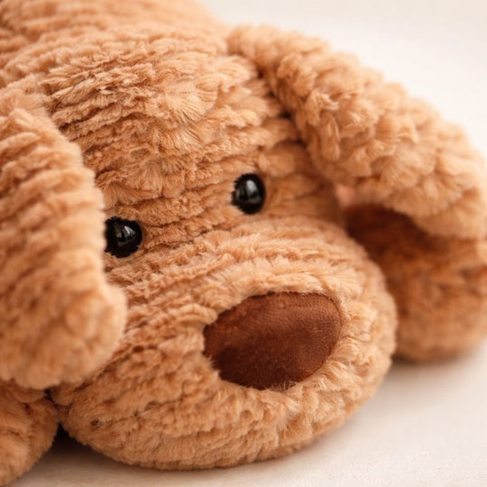 Maelle — Golden Retriever (30cm)