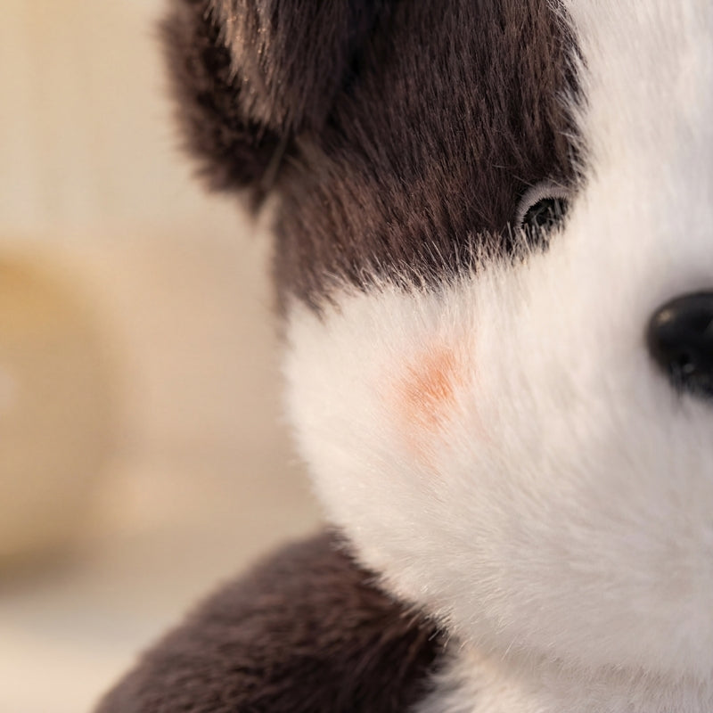 Natalia — Fluffy Puppy