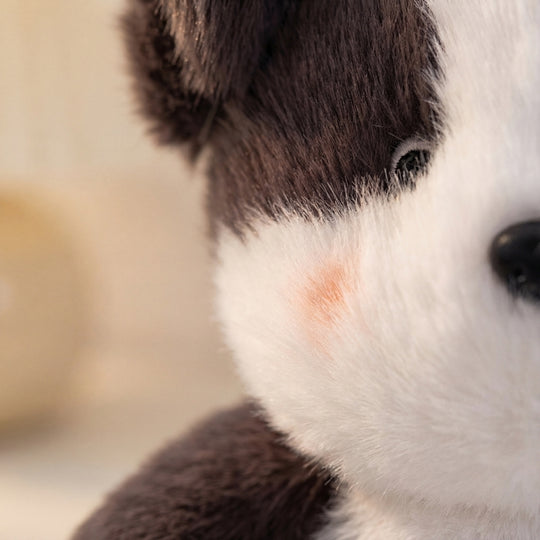 Natalia — Fluffy Puppy