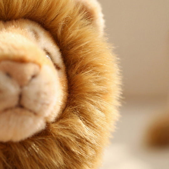 Rosa  Sitting Lion Plush Toy — Kids Toy