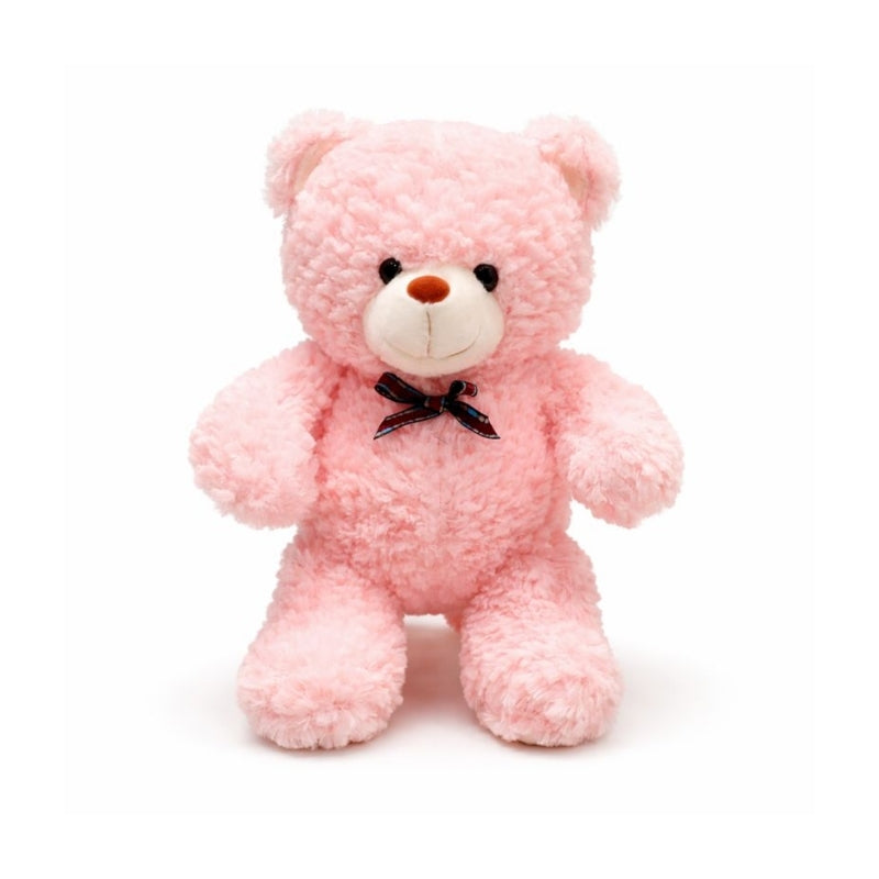 Riccardo Teddy Plush Toy — Kids Toy
