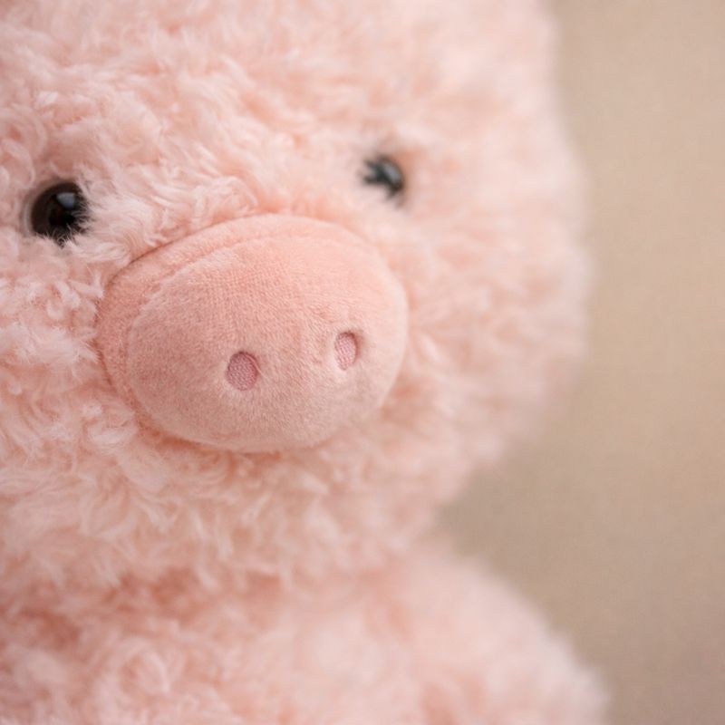 Sorina Cute Pig Plush Toy for Kids — Stuffed Animal